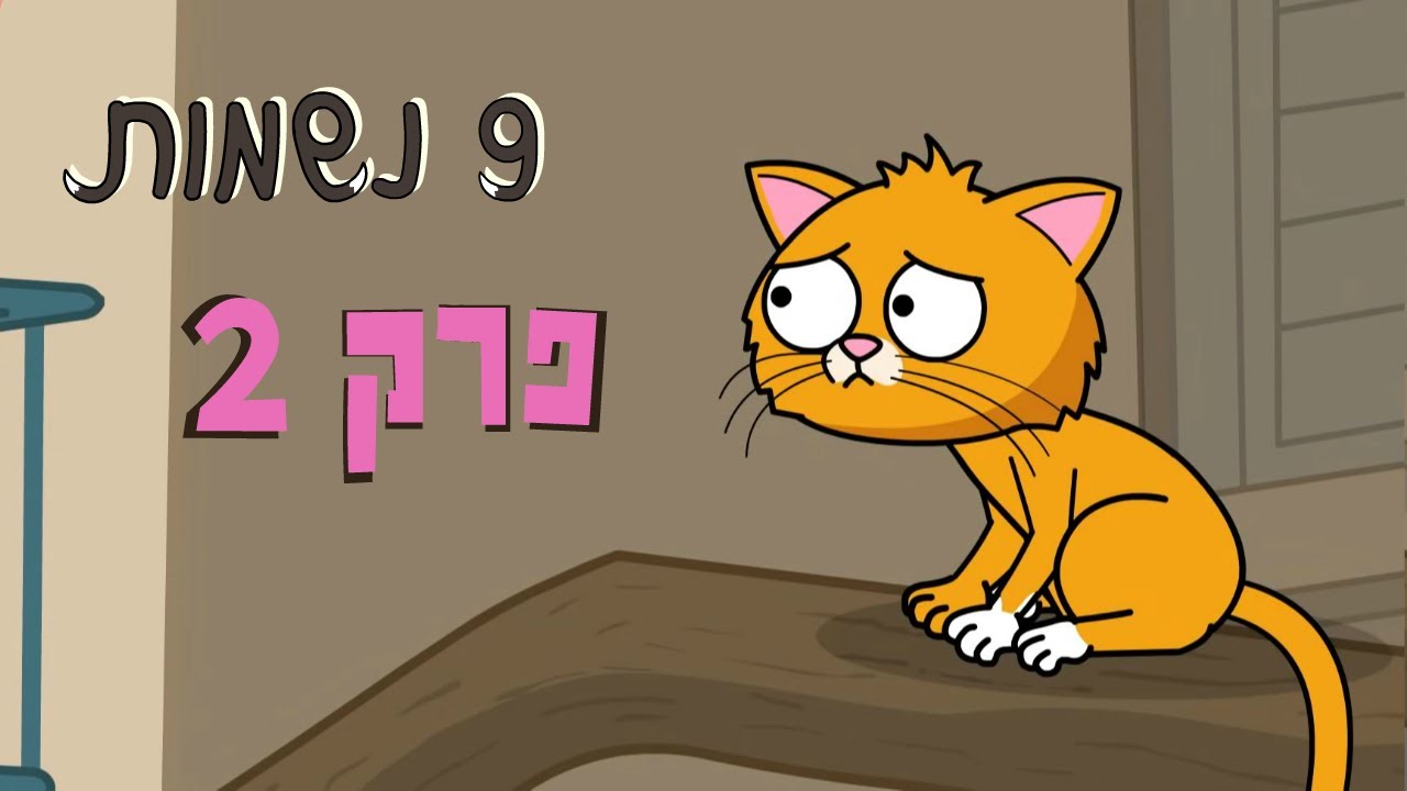 ניר וגלי 9 נשמות  - ההתערבות