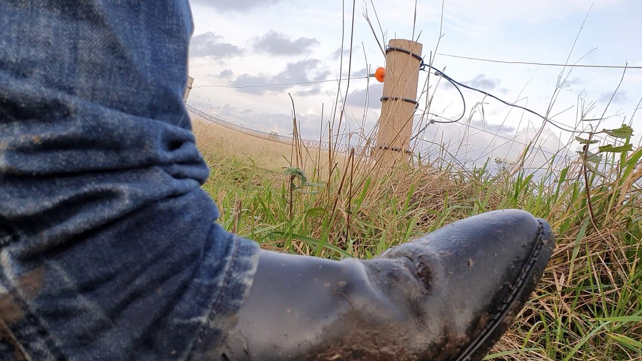 Close up at my muddy riding boots