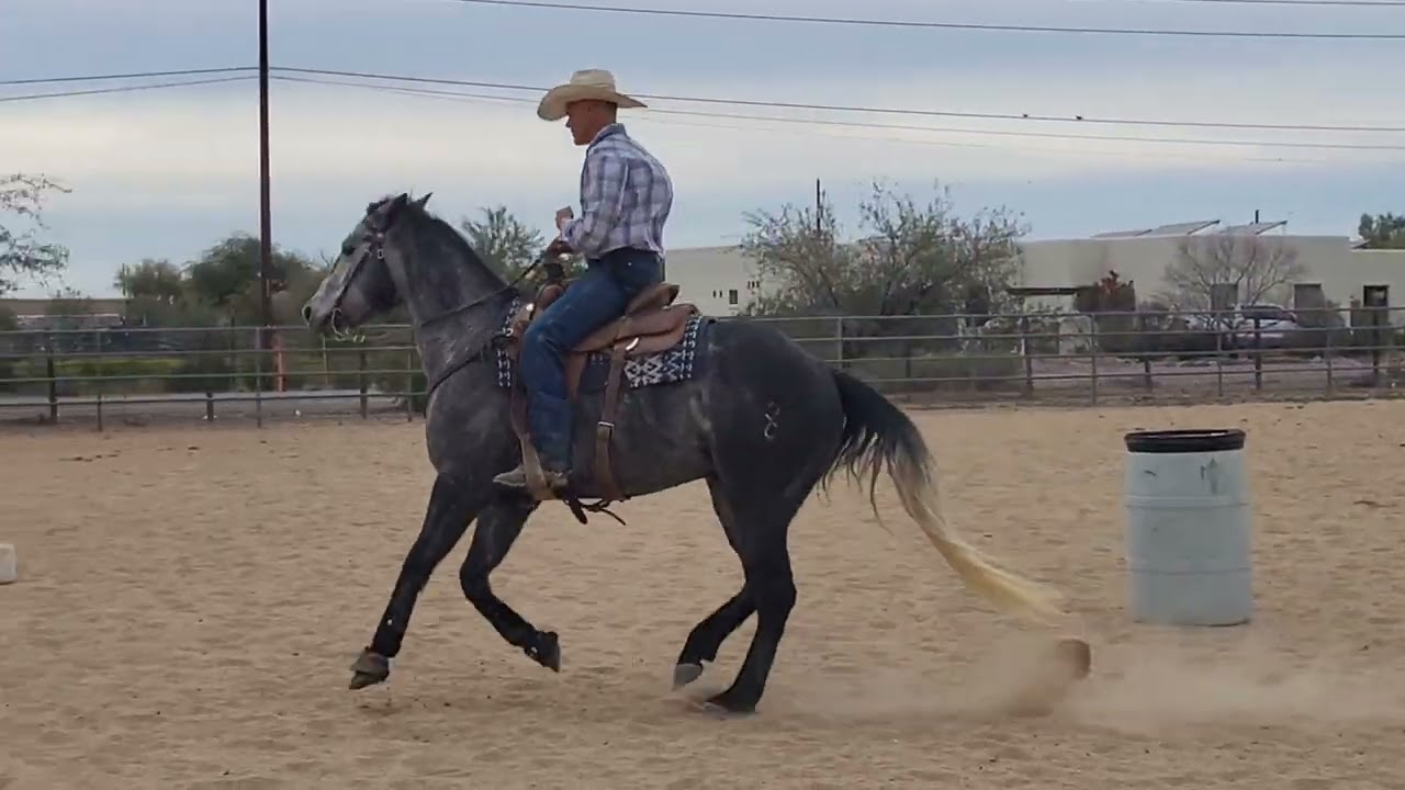 Coming 5 year old trip to Arizona 