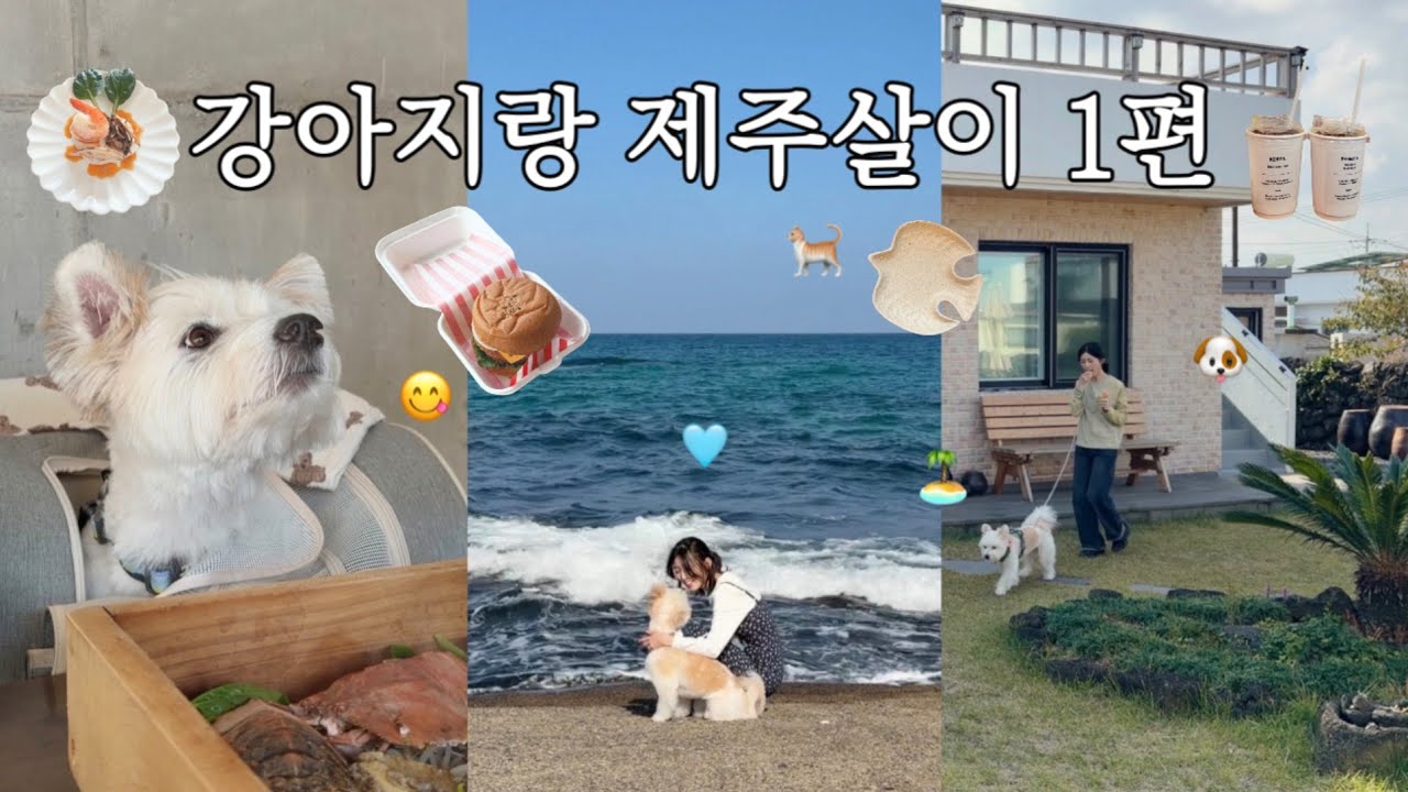 반려견과 꿈에 그리던 제주 장기여행🏝 김녕 바닷가 마을에서 삼삼엠투로 살아보기🏡