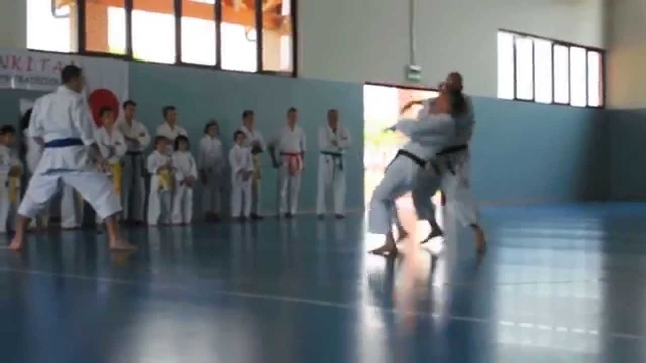 BASSAI SHO KATA E BUNKAI ORG. JKA .AVI