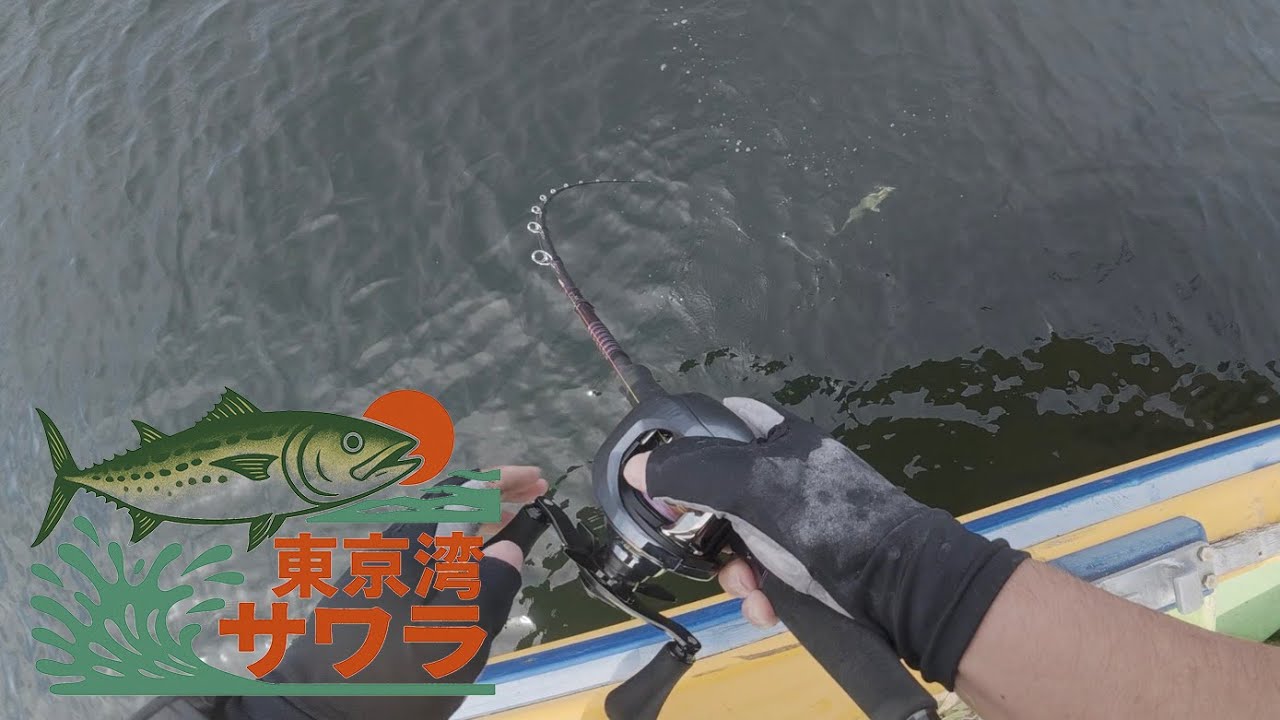 【東京湾サワラ】ベイトタックルオンリーでサワラに挑む！【浦安 吉久】