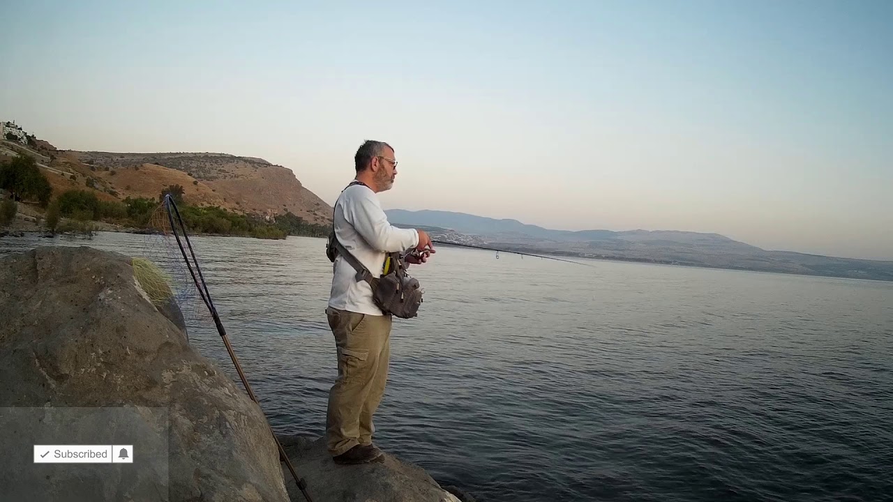 איך לדוג בכנרת עם טופווטר , טיפים ושיטות לז'רז'ר בכנרת Topwater בכנרת