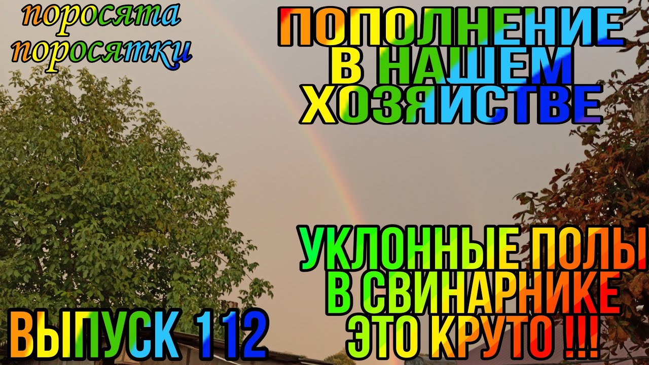 Уклонные полы в свинарнике. Очень легко мыть полы в свинарнике. Пополнение в нашем хозяйстве.