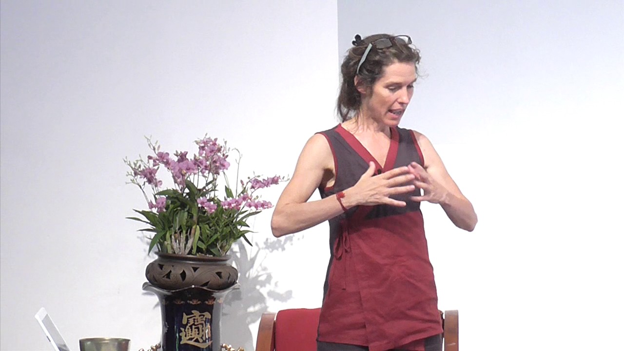 Class  Life Pulse Back to the Source with Aisha Sieburth and Mantak Chia