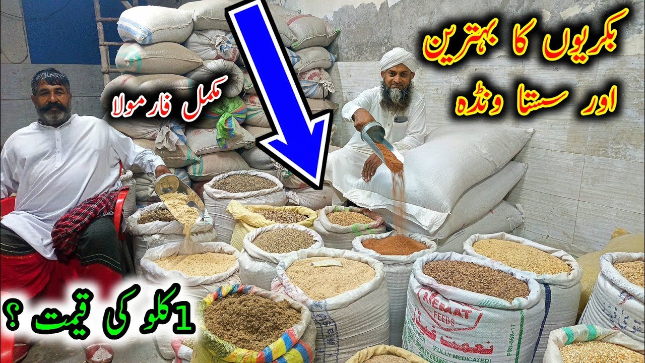 All The Goat's Feed Items Under One Roof - Goat Diet Plan - Goat Wanda Formulation