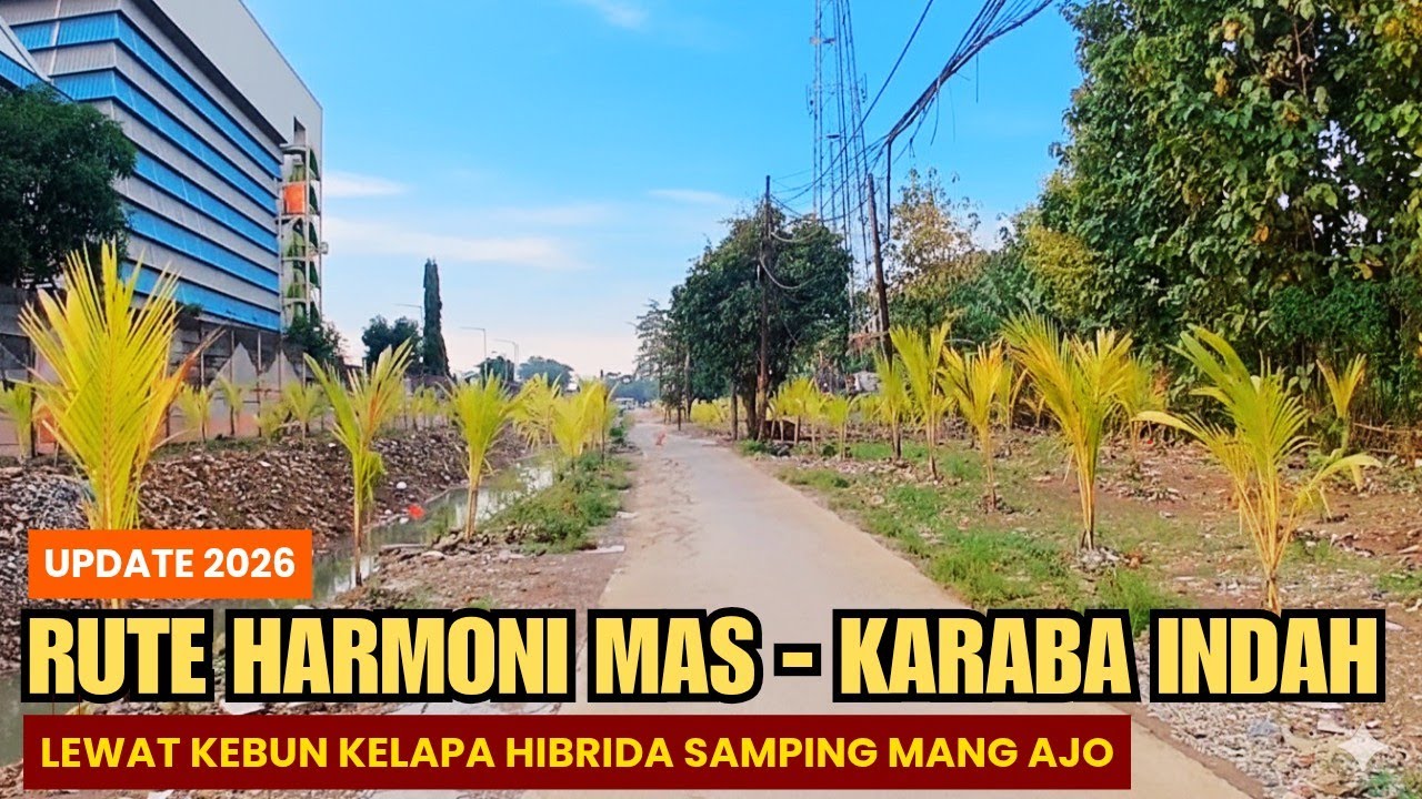 Kondisi Jalan Terbaru Harmoni Mas‼️Menuju Karaba Indah via Kebun Kelapa Hibrida Wadas Karawang