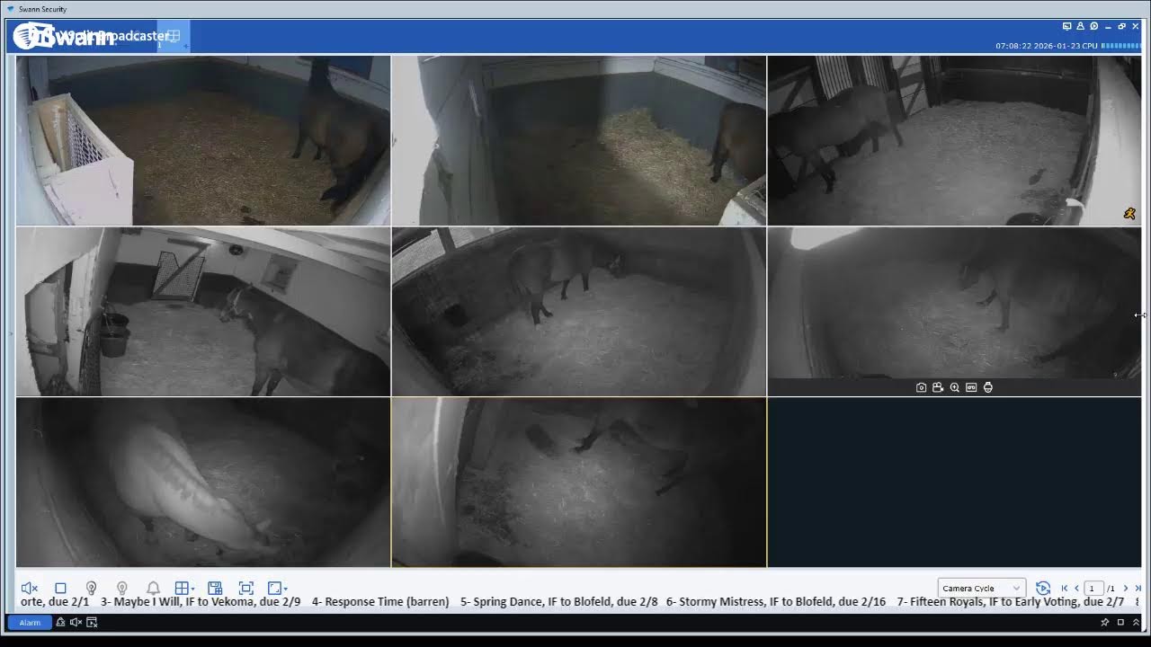 1/22/26 Livestream