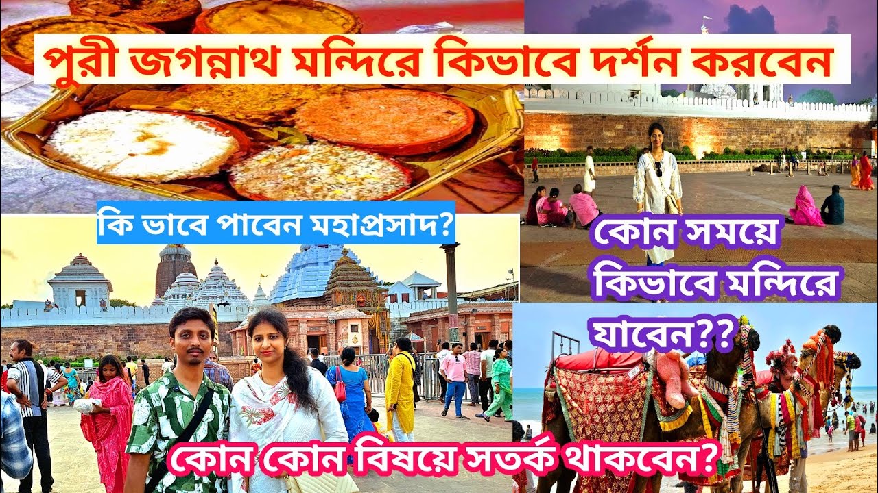 Jagannath Puri Darshan | পুরী জগন্নাথ মন্দিরে কিভাবে দর্শন করবেন | Puri Jagannath Temple | Puri