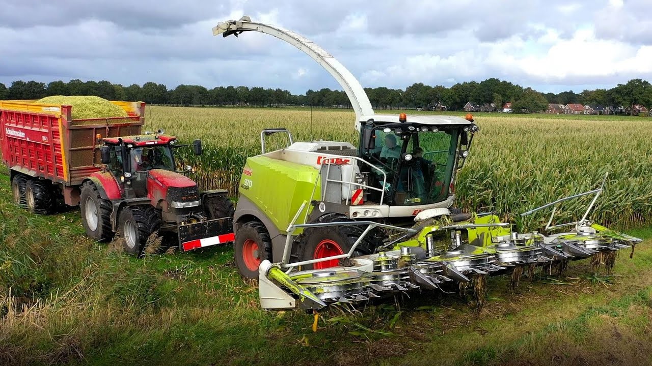 Ma&iuml;s oogst 2020 met Claas Jaguar 970. Loonb. Sandee Onstwedde- Alteveer.