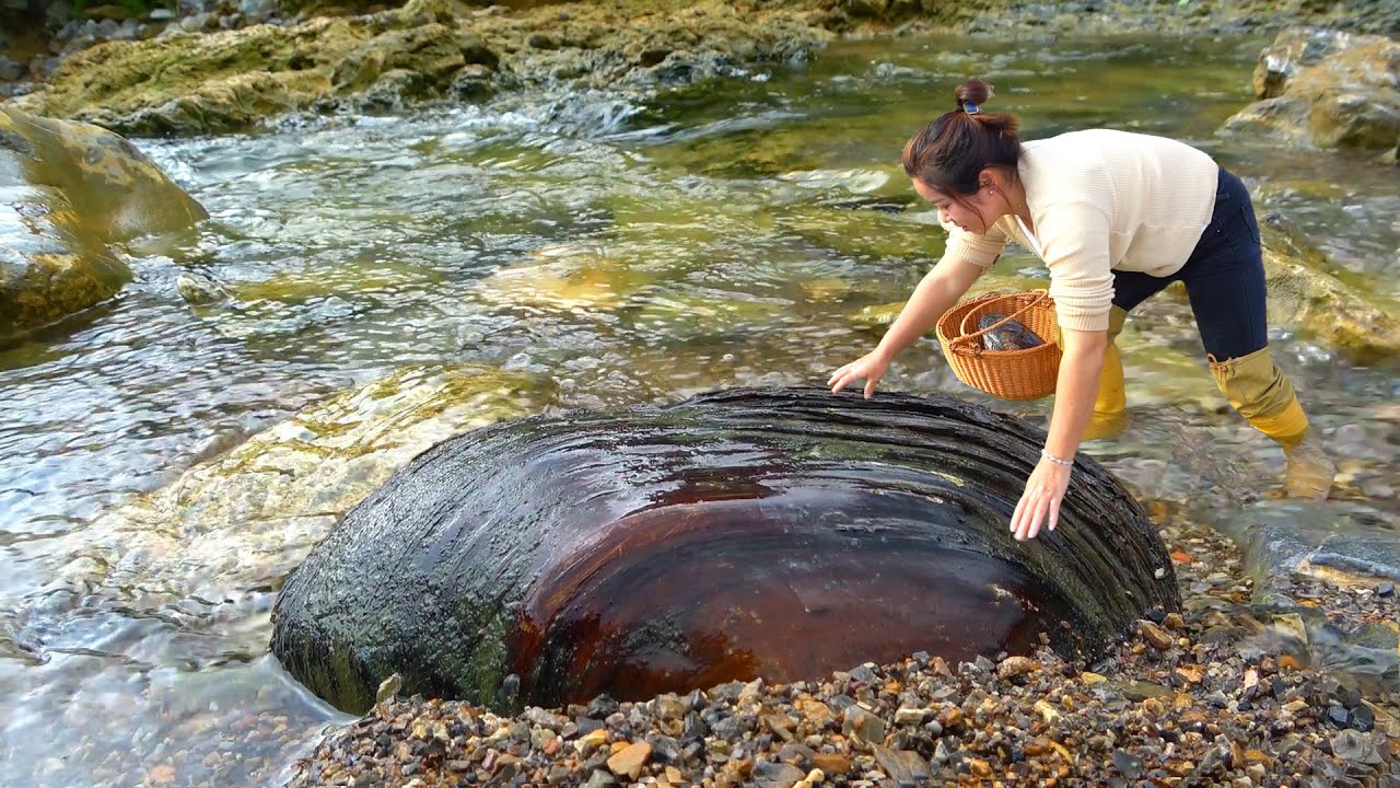 Digging out a century old clam from fresh water, the pearls inside the clam pile up like a mountain