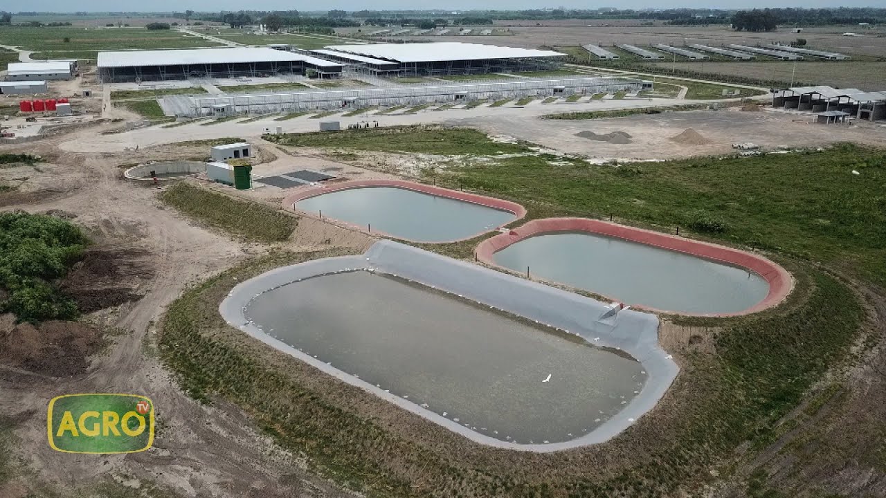 Mercado Agroganadero de Cañuelas: La nueva capital del campo (
