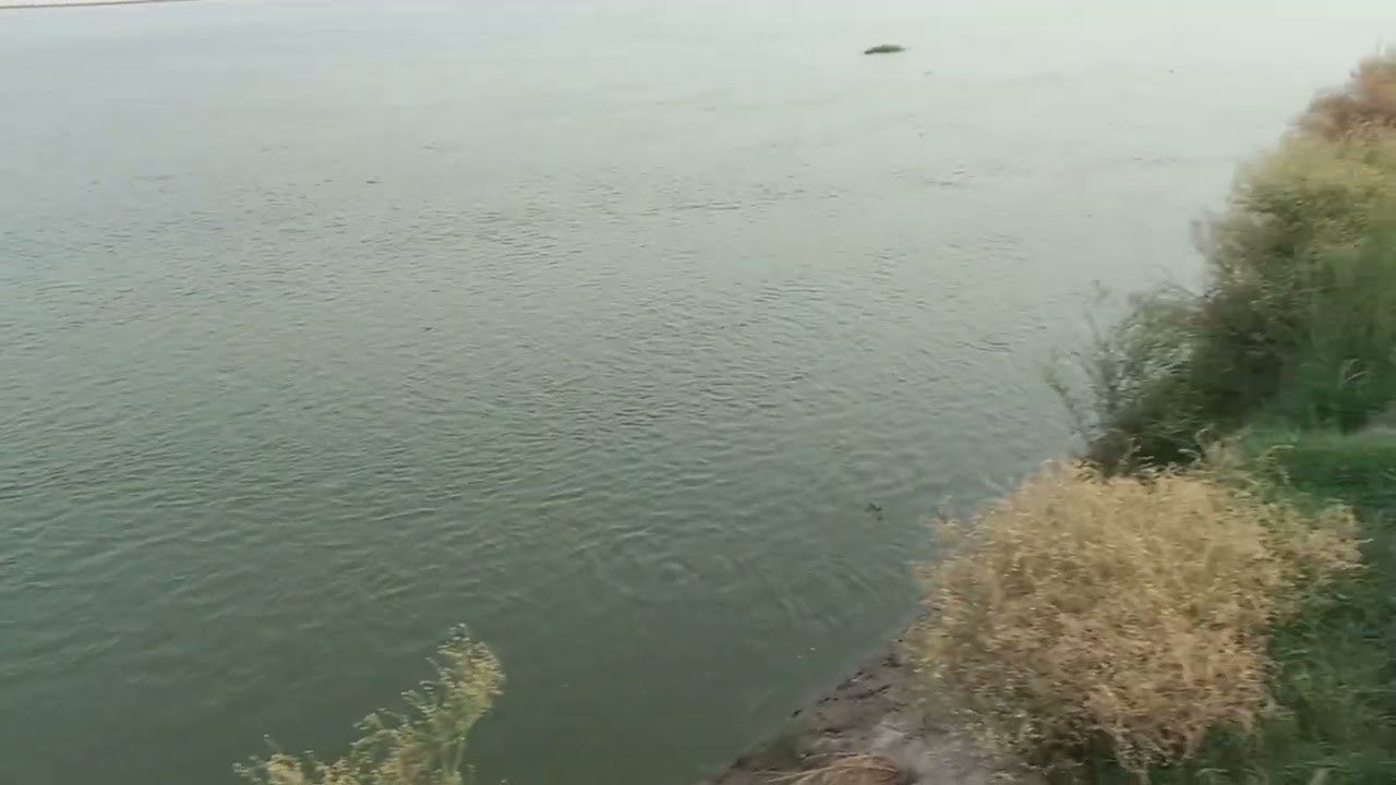 New update satluj flood system 
