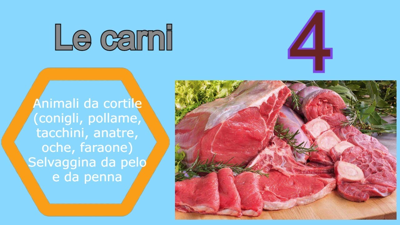 Le carni - Lezione 4