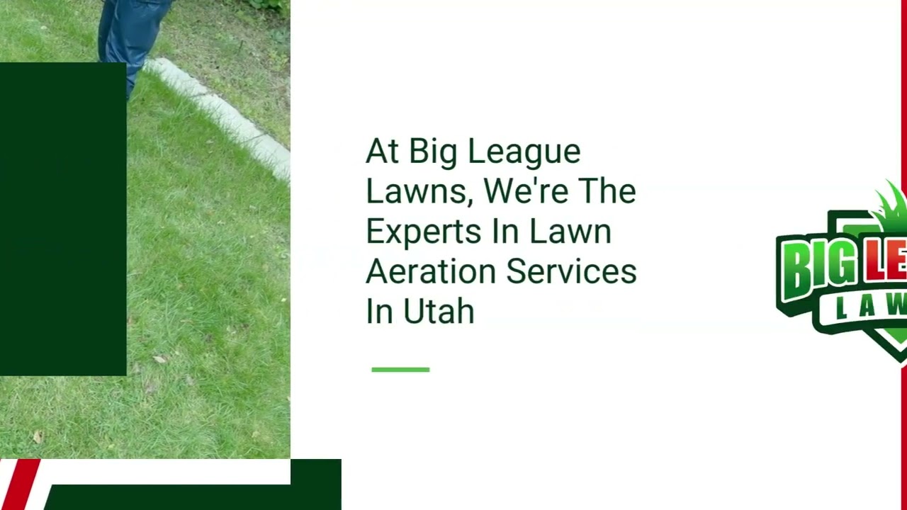 Unleash The Power of Aeration for Your Lawn | Big League Lawns