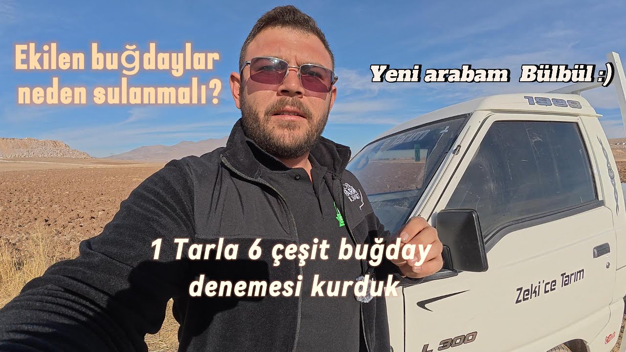 Buğdayları suluyoruz peki neden? Yeni araba aldık l300 bülbül:) 1 tarla 6 çeşit tohum