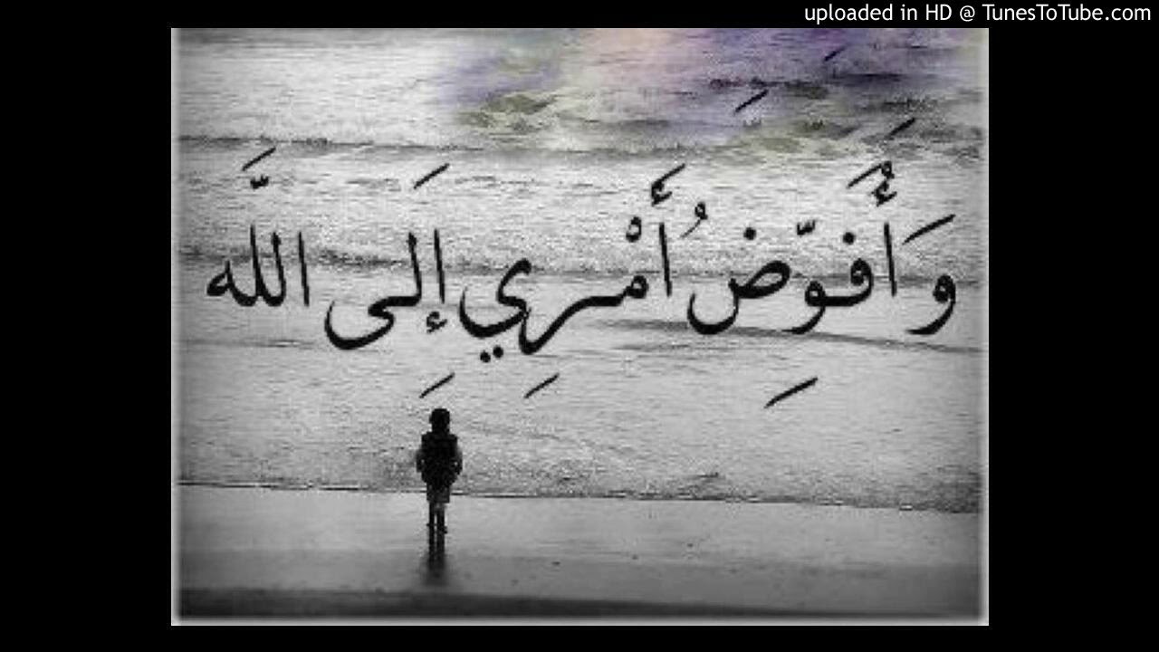 الشيخ المهندس/ محمد المقرمي: الذي خلق يعرف طبيعتك - مقطع صوتي