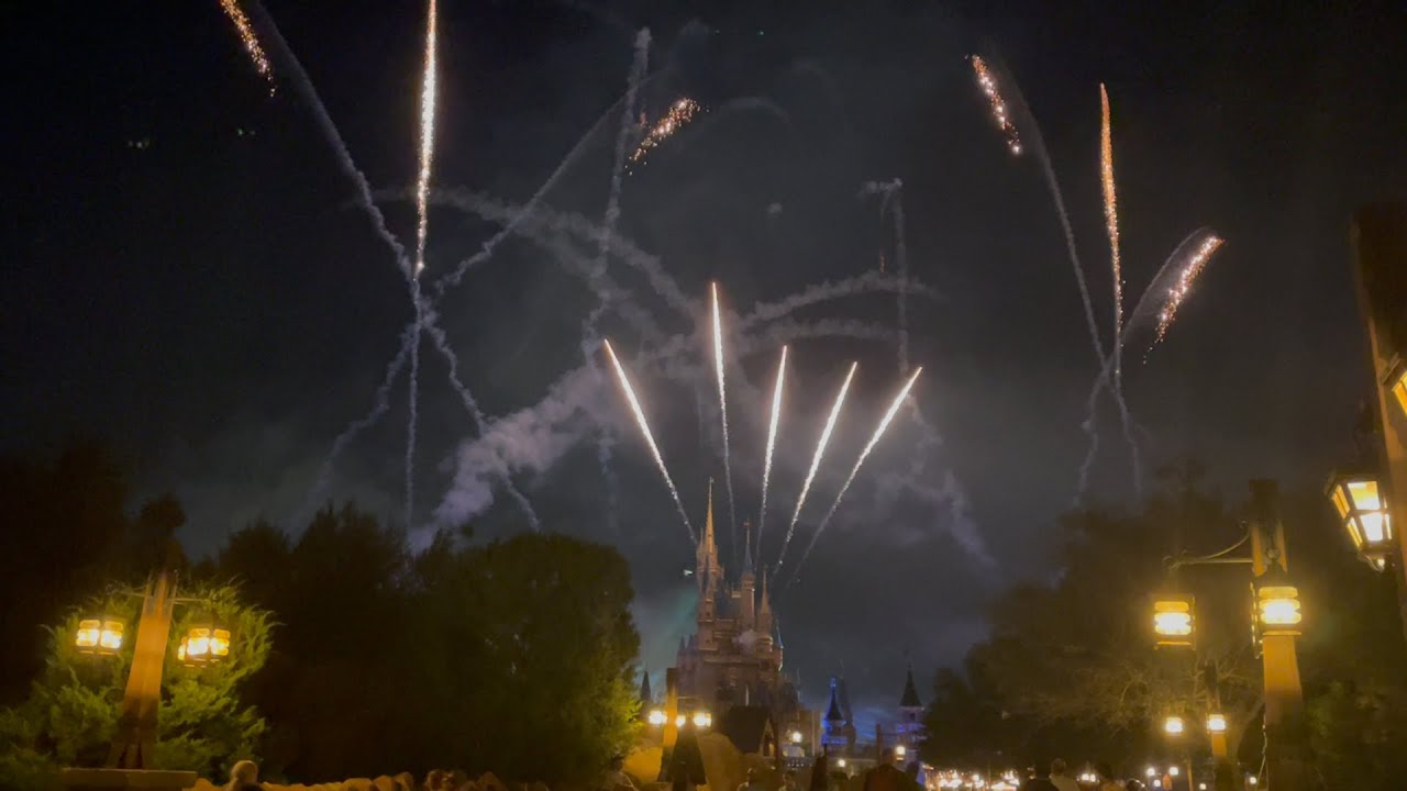 Magic Kingdom Fireworks Show (Tinkerbell takes flight at 7:48 The Finale is the best part.)