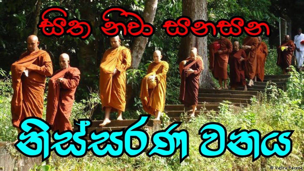 සිත නිවා සනසන මීතිරිගල නිස්සරණ වනය | NISSARANA VANAYA @rev.ridiyagamaindalokathero