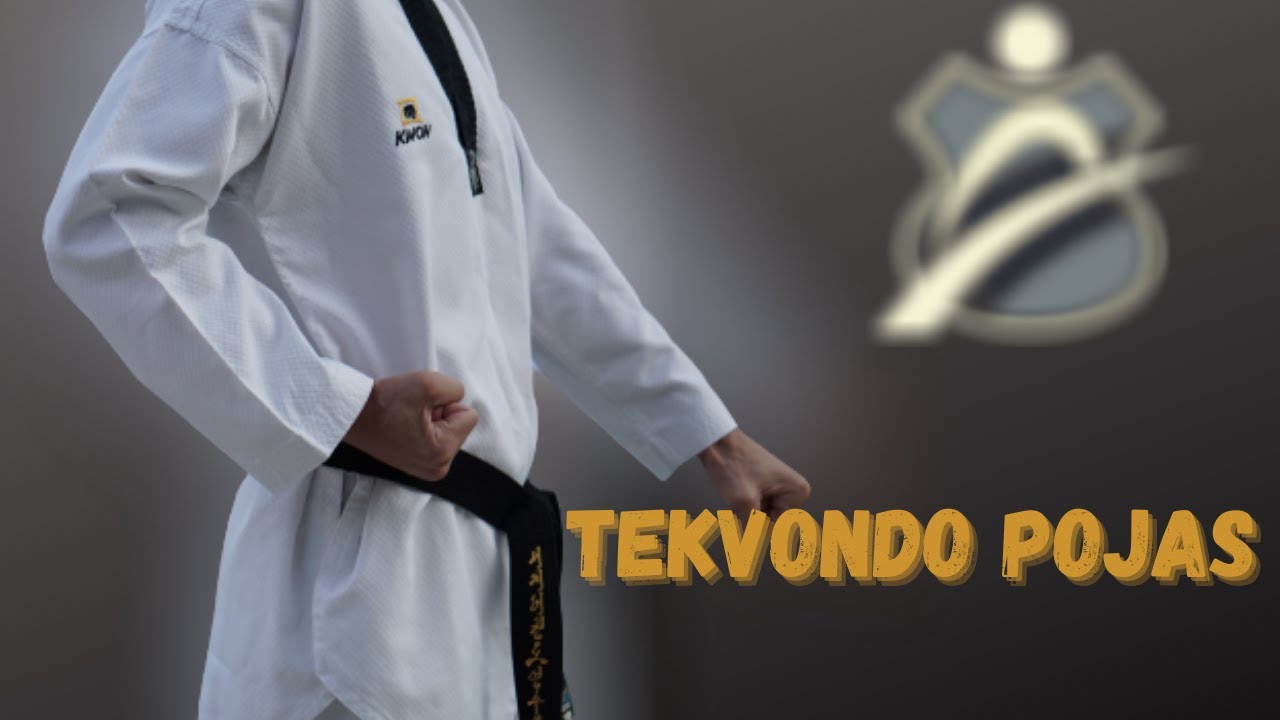 Tekvondo pojas-Značenje boja-Objašnjene