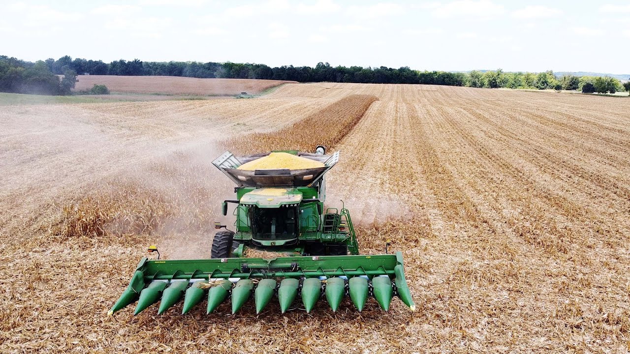 JOHN DEERE X9 1100 Harvesting Corn | Big Harvest
