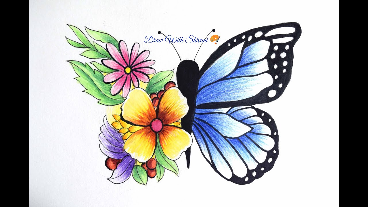 Abstract Butterfly Sketch/ Butterfly Drawing using Pencil Colors