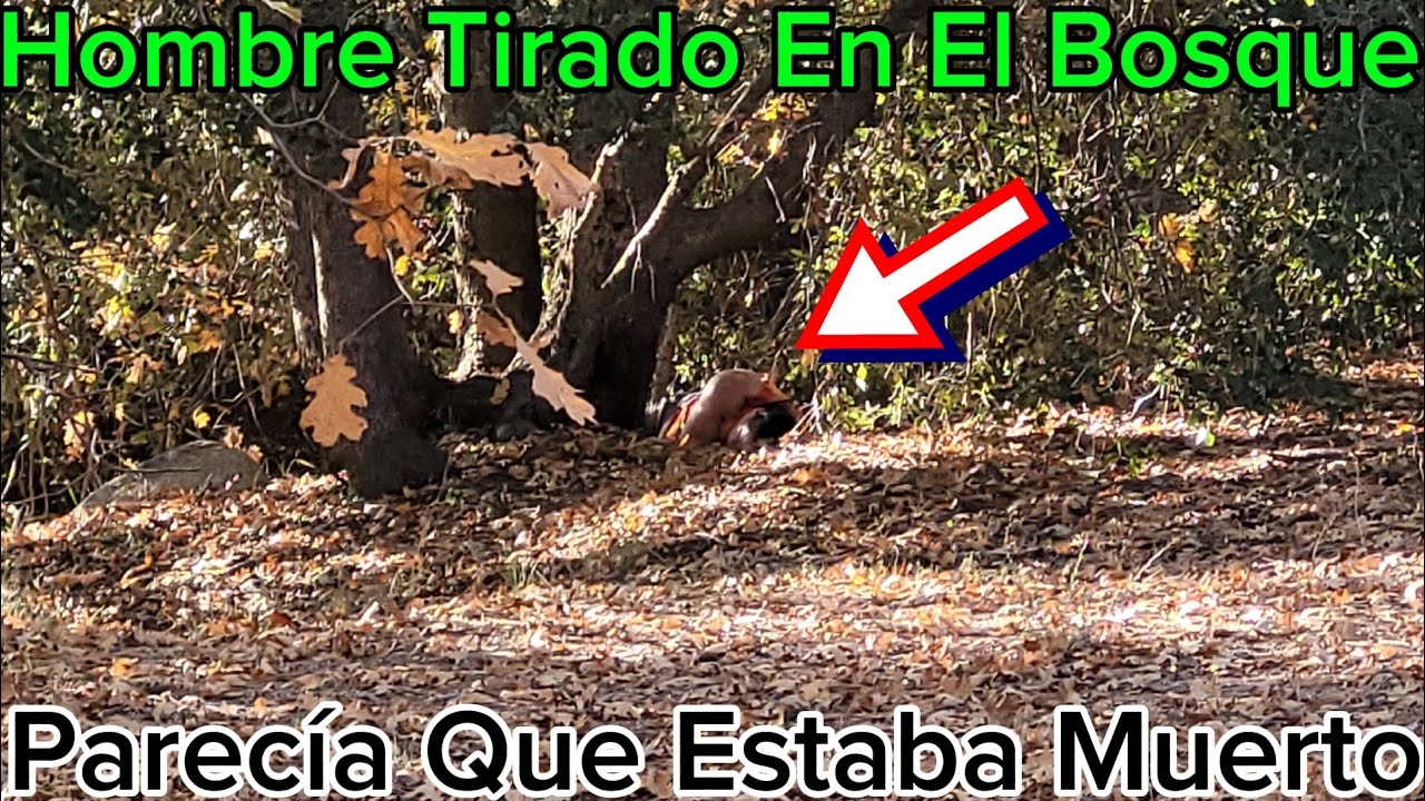 Alli Estava Tirado En Medio Del BOSQUE Parecía Muerto 