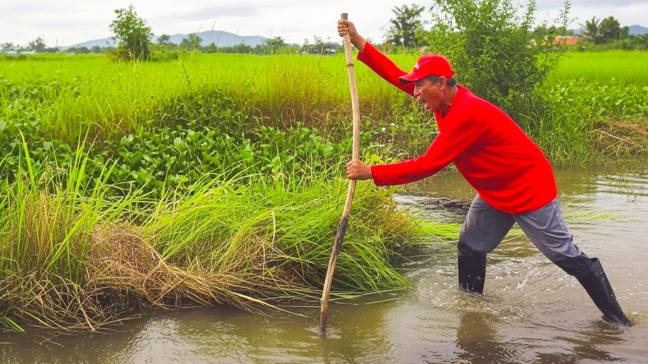 OMG!!! Massive Clogged! Removal Plants Clogged On Dam Drain Water For Traffict Villager After Rain