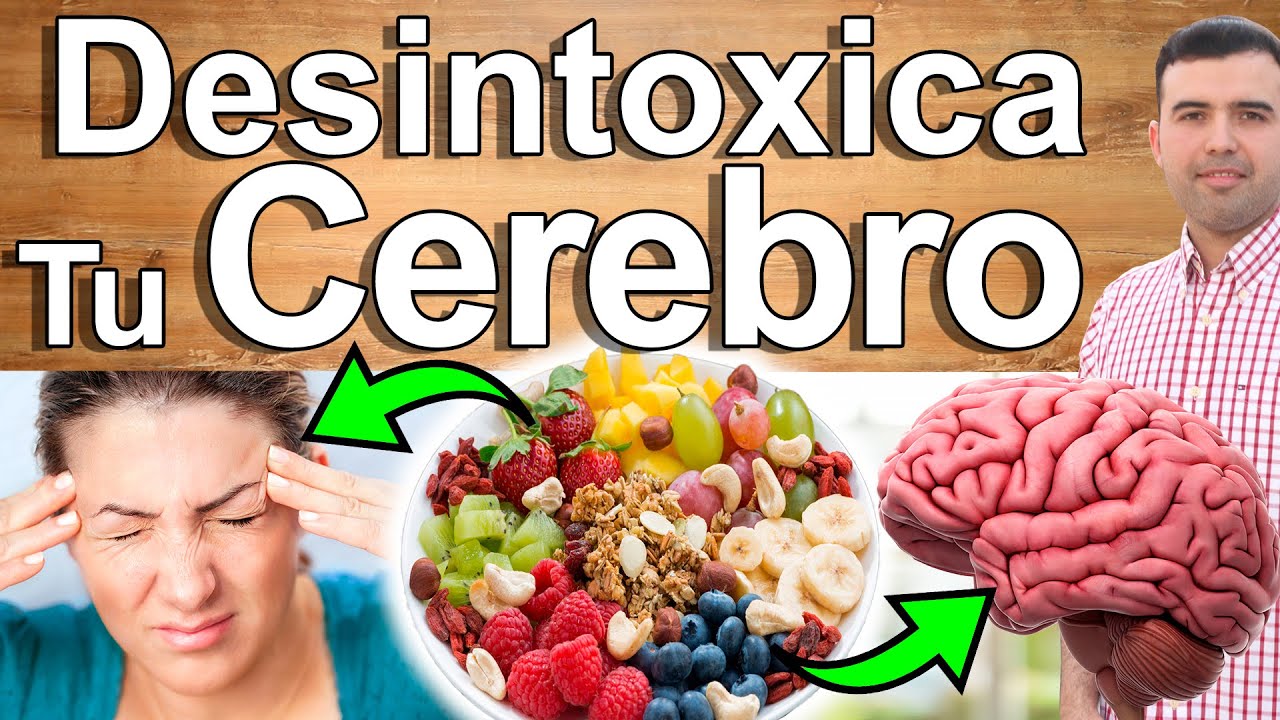 COMO DESINTOXICAR EL CEREBRO, Recuperar la Memoria Y Renovar el 100% las Células Cerebrales