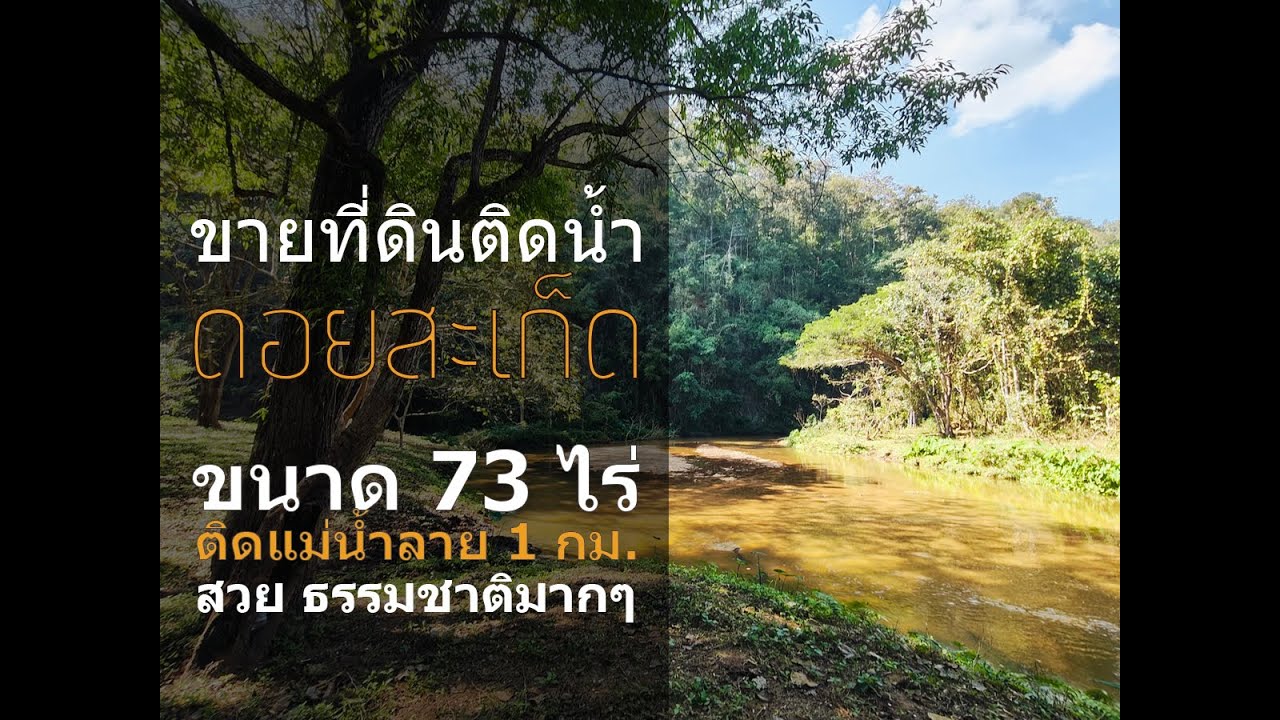 ที่ดินดอยสะเก็ด เชียงใหม่ แนว Advanture ธรรมชาติมากๆ ติดแม่น้ำ 1 กม