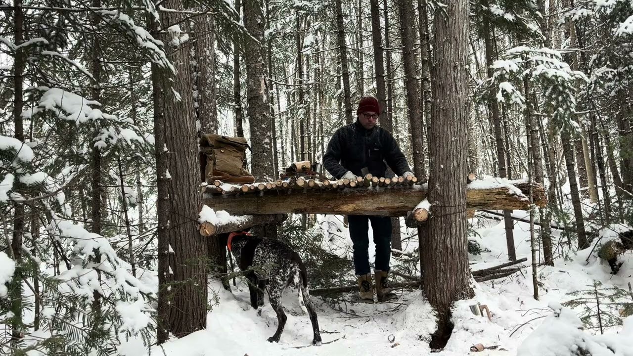 🔥Building a Survival Shelter in The Woods🌲🪵🇨🇦