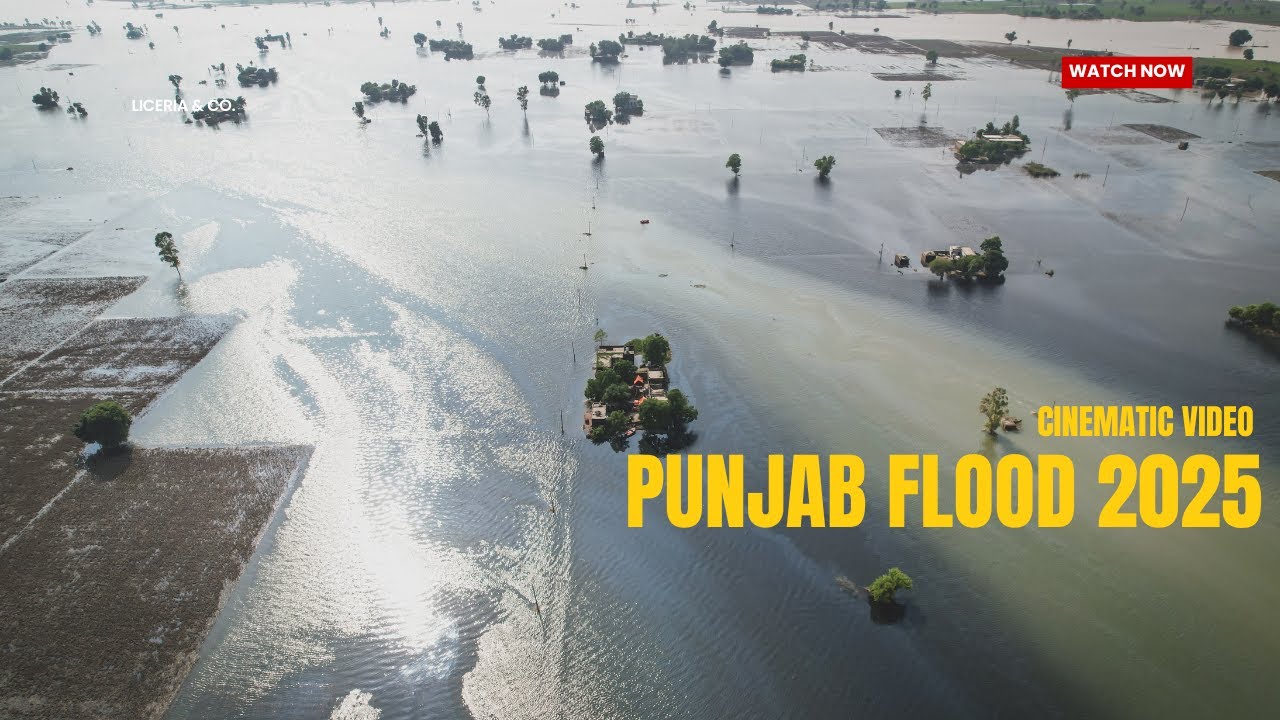 Floods in Punjab ferozpur area 2025 | Damaged crops and houses plus cattle died | Lot of pain Punjab