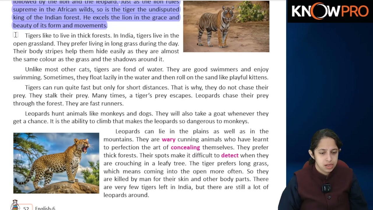 English 6 ch 7