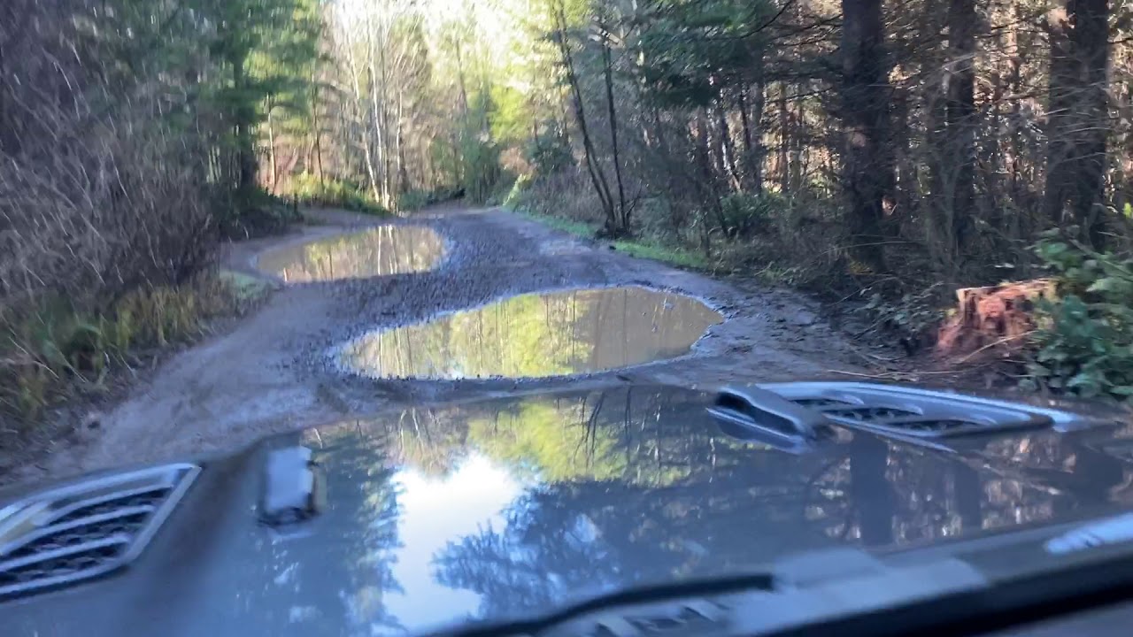 Road to Abiqua Falls Trailhead