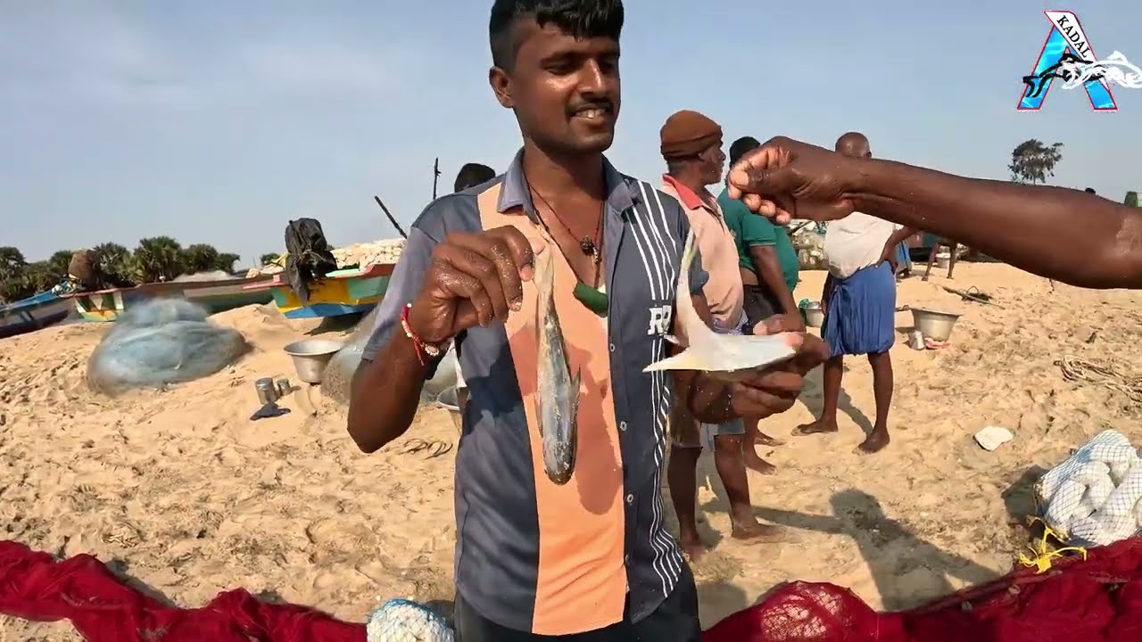 “Fresh Catch of the Day” | “Sea Harvest Moment” | From Net to Hand | Ocean’s Daily Reward | #KadalTV