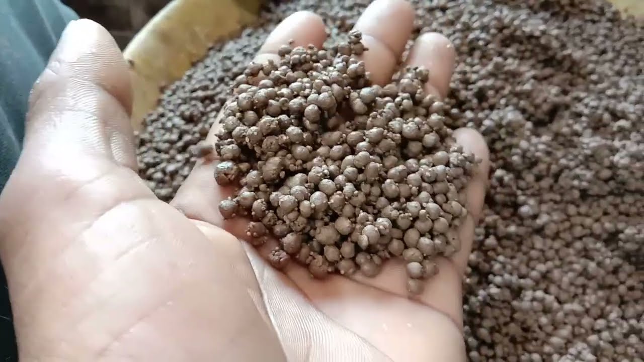 Fertilizer Granulation Plant||Granulator Machine|Fertilizer Granules Making Machin|M. +91 7567098016
