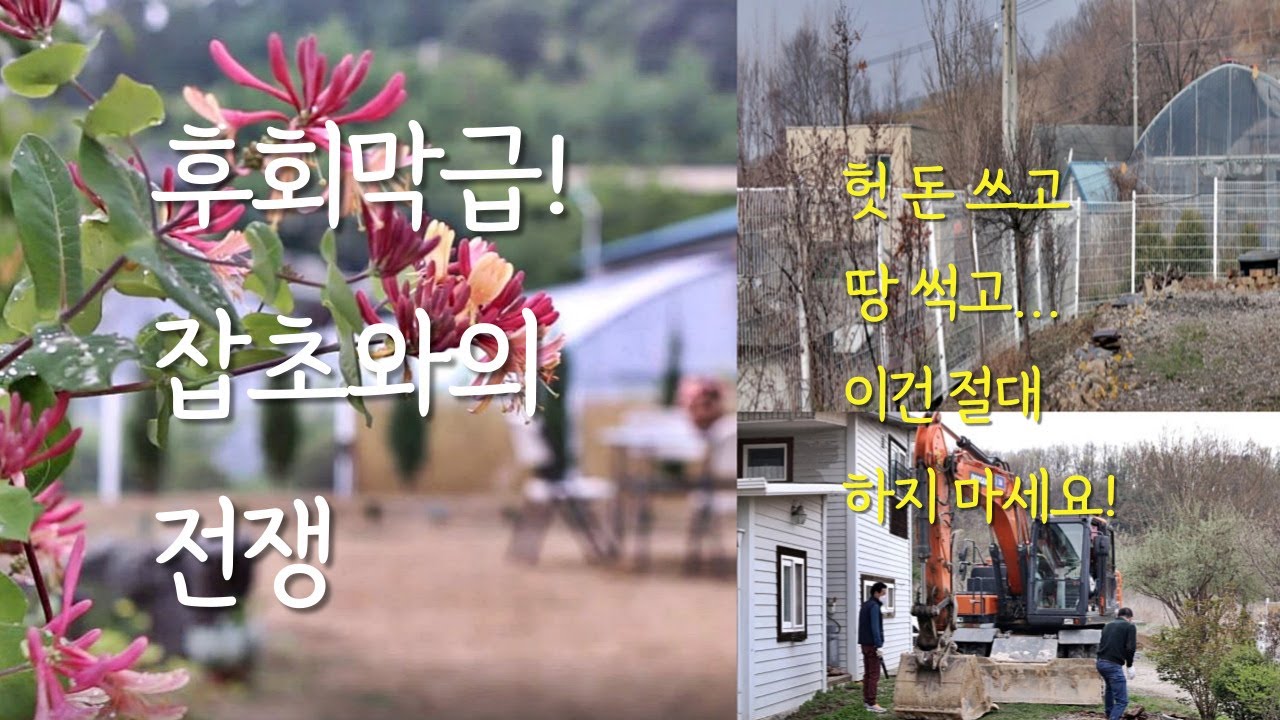 전원생활 잡초와의 전쟁. 땅을 치고 후회하는 절대 하지 말아야야 할 이것! 예쁜 정원만들기 (feat. 마사토 마당, 야자매트, 정원아치)