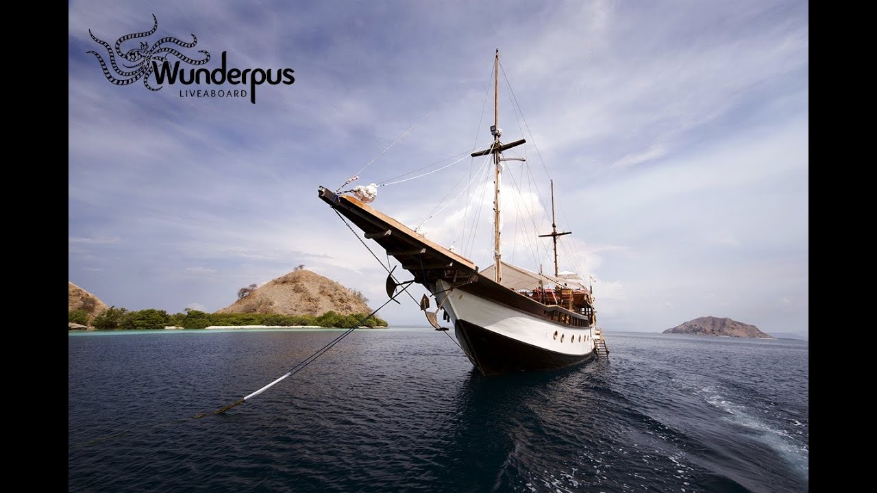Wunderpus Promo English- Short