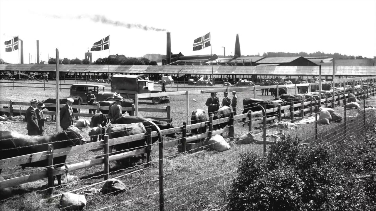 Østfoldutstillingen i Sarpsborg 1930
