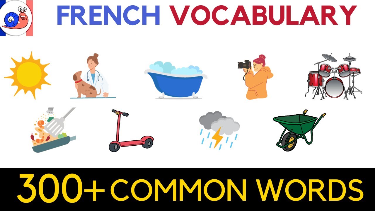 Learn 300+ words in French with pictures [Useful Vocabulary]