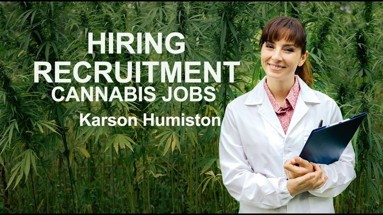 CANNABIS HIRING RECRUITMENT | BLUNTZ [CANNABIS JOBS]