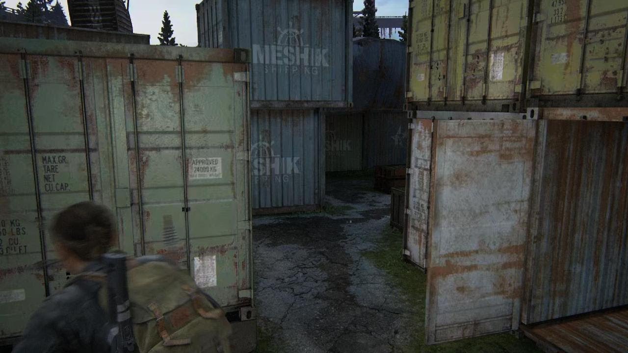 The Last of Us Part II Remastered