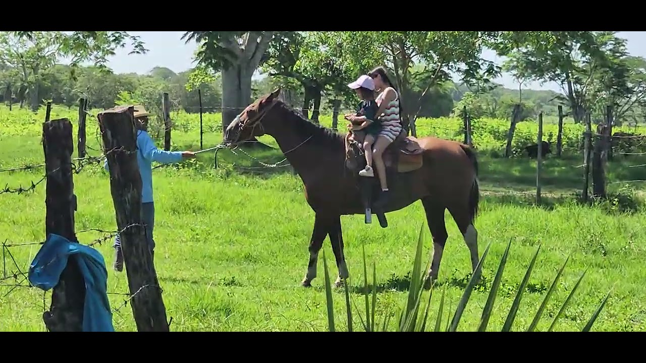 Las niñas paseando en caballo 23 Julio 2025