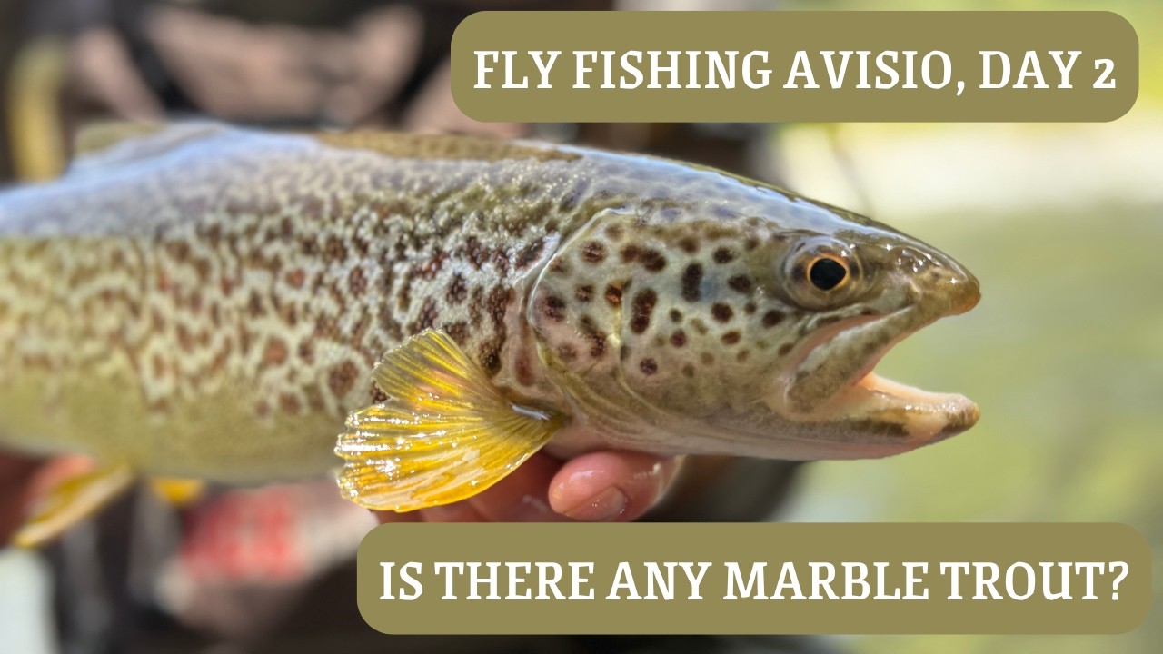 Avisio River, Val di Cembra Fly Fishing - Day 2
