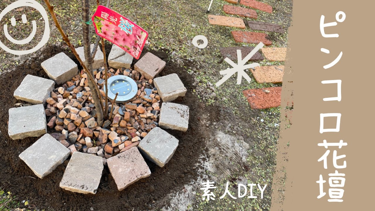 ピンコロ花壇　素人DIY