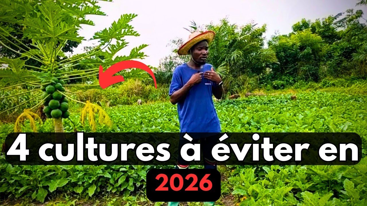Voici les Cultures  qui ne sont pas Vraiment Rentables
