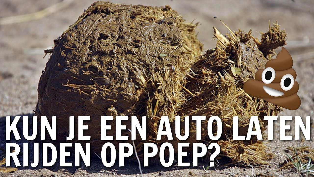 Kun je een auto laten rijden op poep? | De Buitendienst over afval