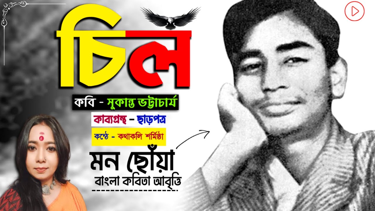 চিল | Chil | সুকান্ত ভট্টাচার্য | Sukanta Bhattacharya | Bangla Kobita | Bengali Poetry Recitation