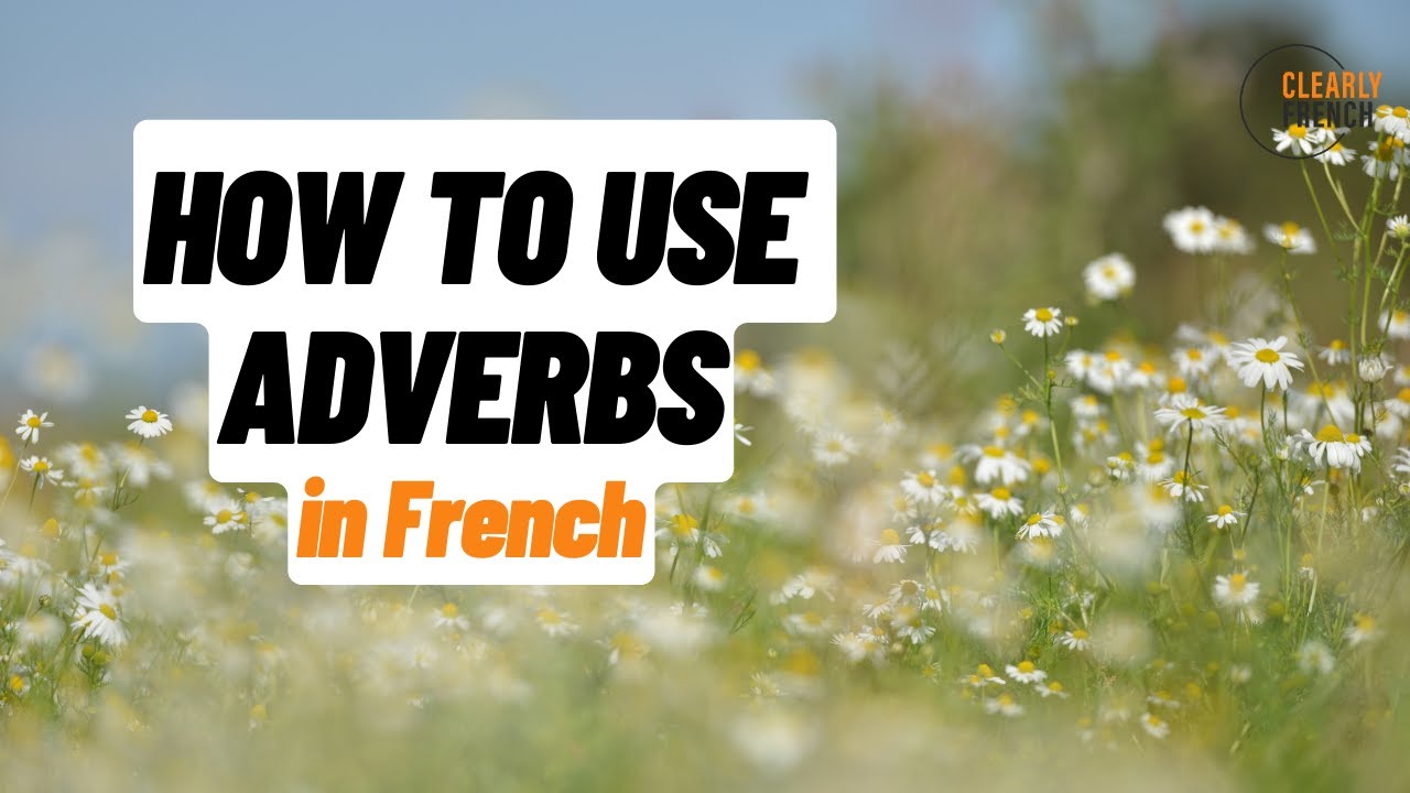 How to use adverbs in French - all levels