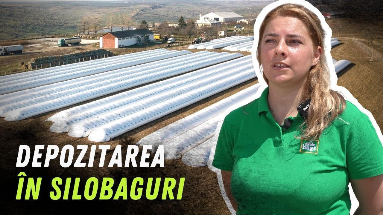 Silobag-urile: depozitare la îndemână și cu costuri reduse